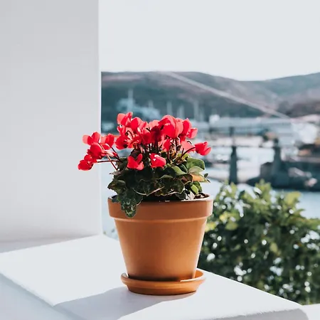 Apartment Fos Loutra (Kythnos)